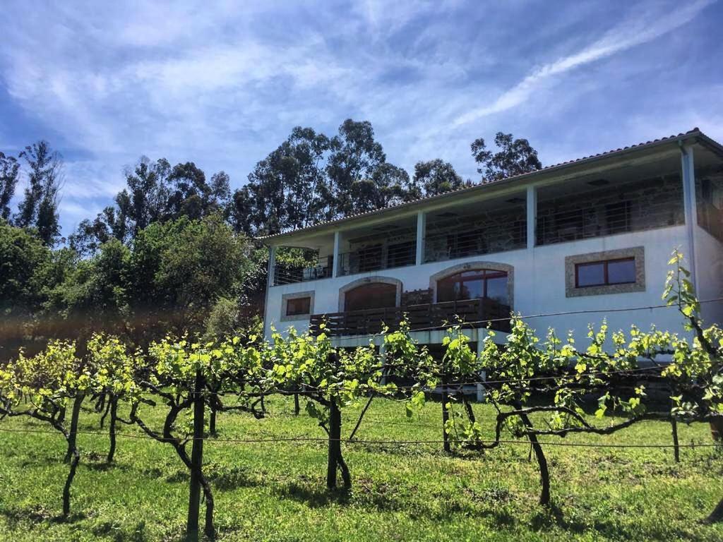 Quinta Da Quinta, Private Room 비에이라도미노 외부 사진